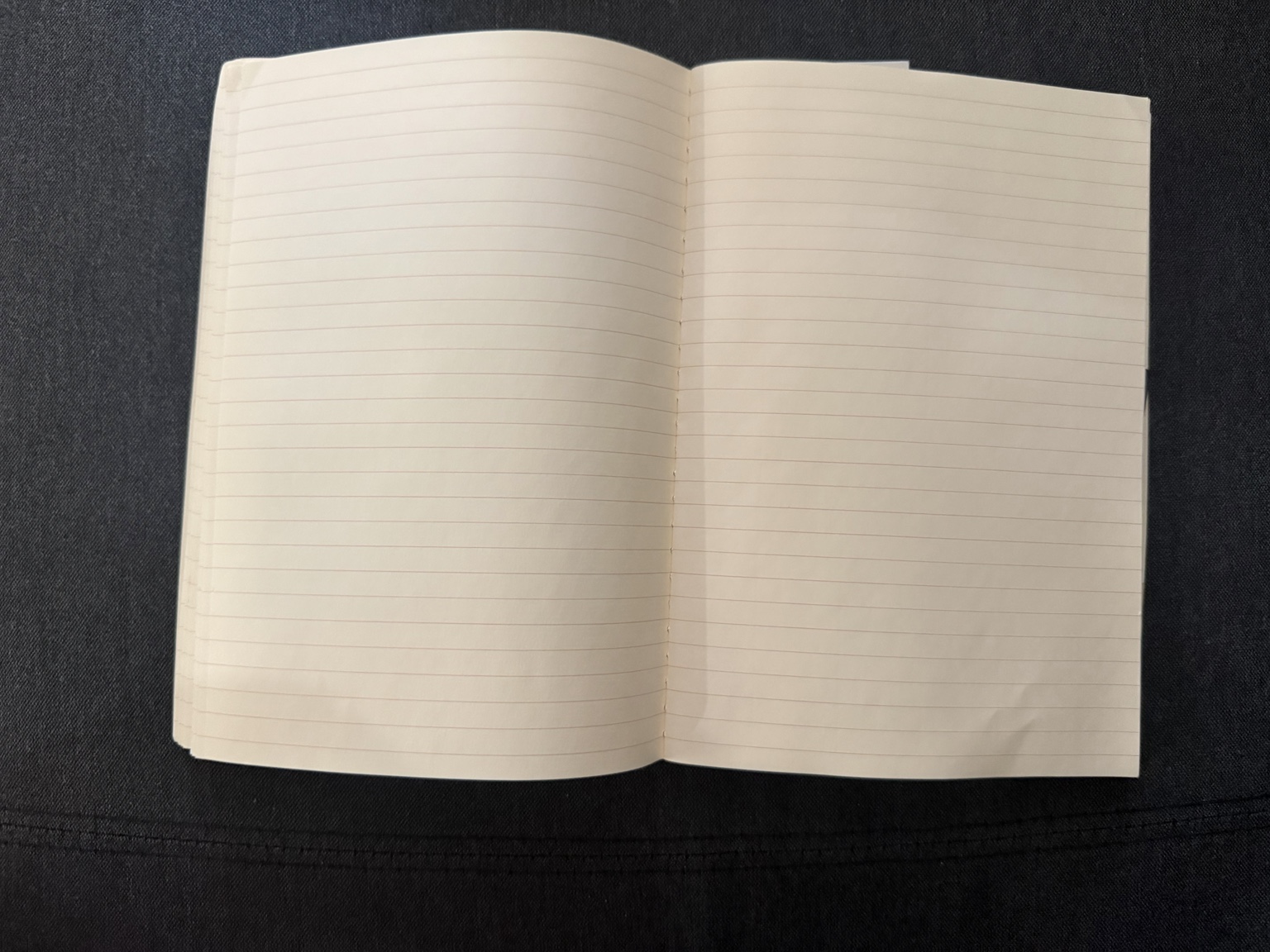 Original photograph of the blank cream lined notebook